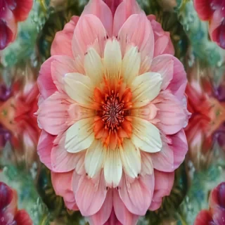 flower background iphone