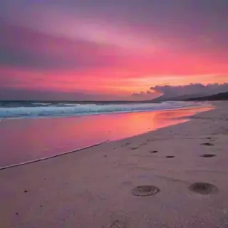 pink beach sunset
