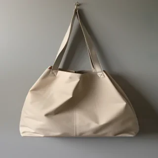 bag png