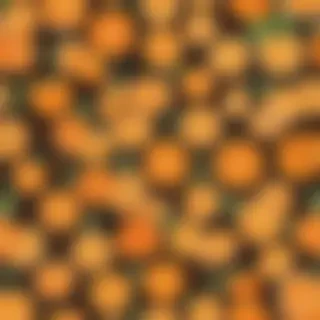 cute orange background