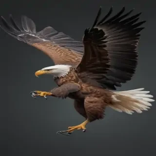 eagle fly png