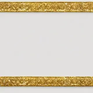 gold border transparent