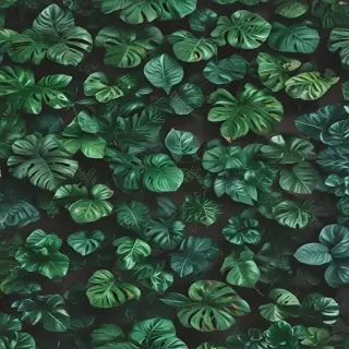 plants background iphone