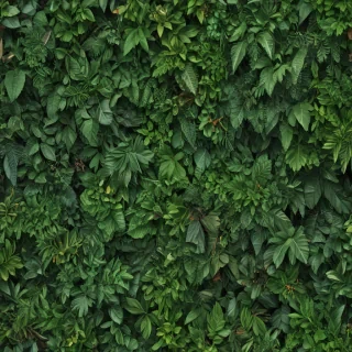 greenery png