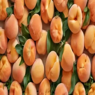 peach background wallpaper