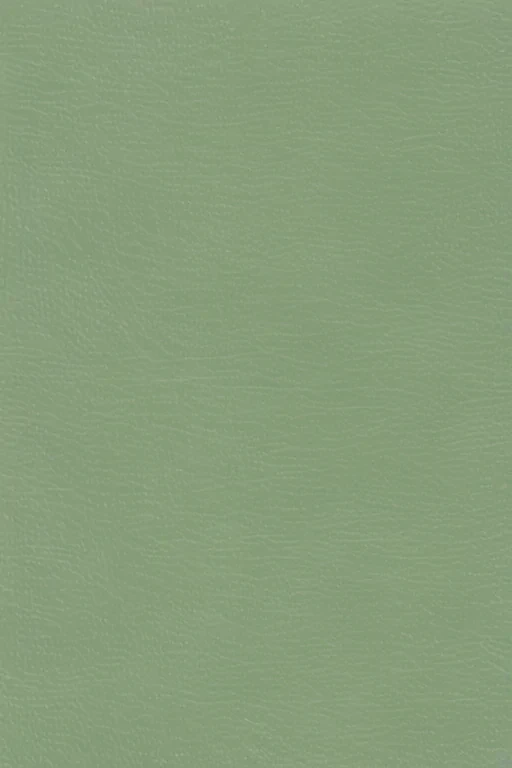 sage green background