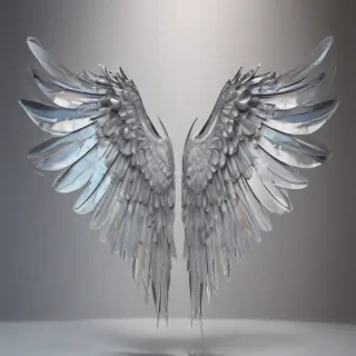 wings transparent