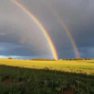 rainbow pictures