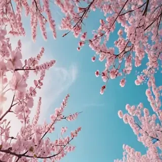 spring backgrounds aesthetic