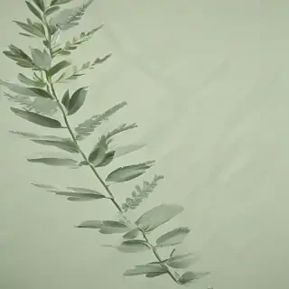 light sage green background