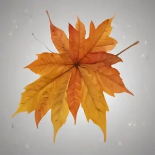 fall leaves png transparent