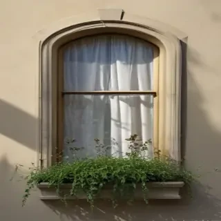 window shadow