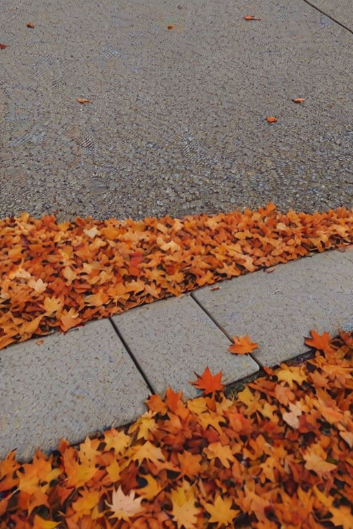 fall leaves aesthetic