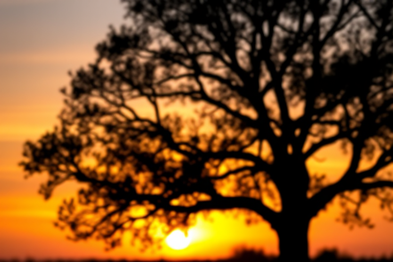 Create an abstract black silhouette of a tree against a bright sunset background, using a DSLR camera with a 50mm lens at f/1.8, ISO 100, and a shutter speed of 1/200s, shot from a low angle to emphasize the tree's height and depth of field with vibrant colors in the sky.