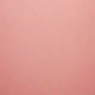 blush background