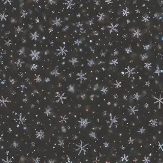 snow overlay png