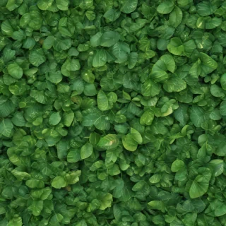 leaf background green