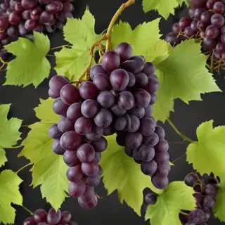 grapes png