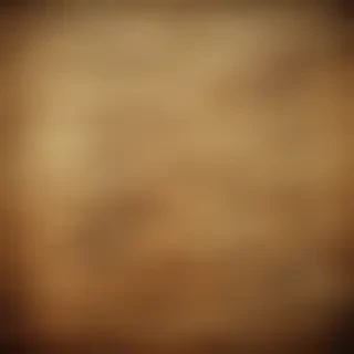 vintage texture overlay