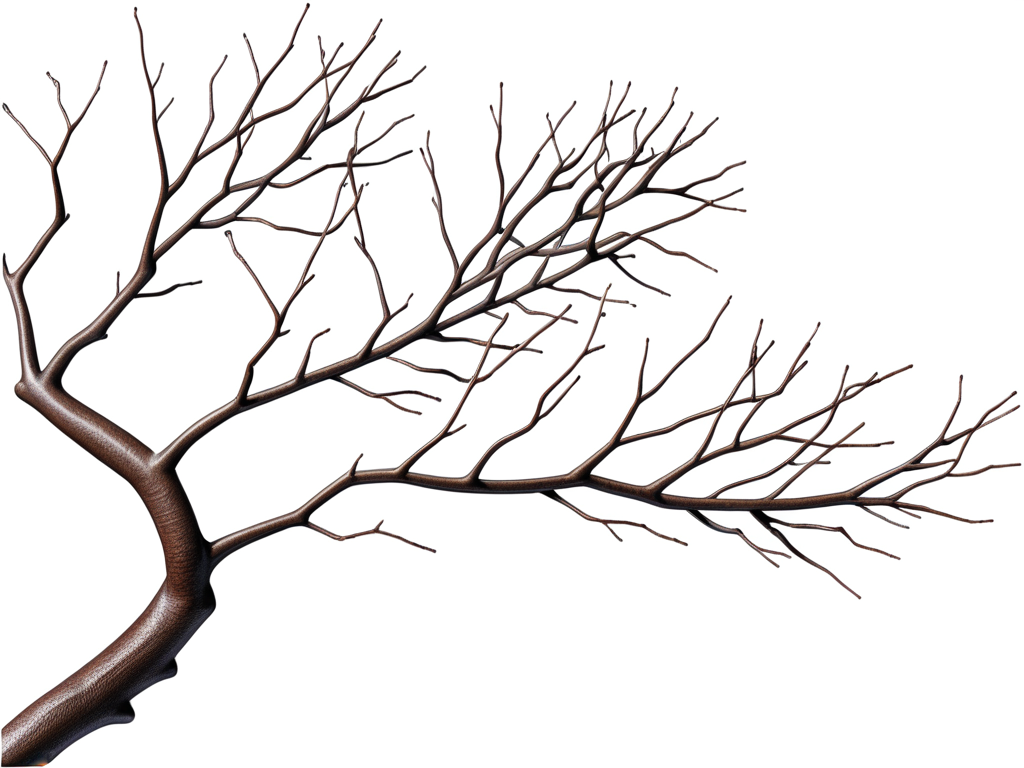 Intricate Bare Branches of a Tree Against a Clean White Background