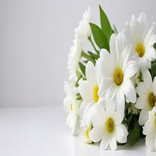 white flowers on white background