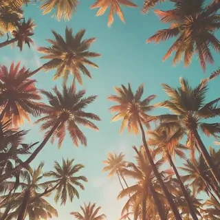 summer iphone backgrounds