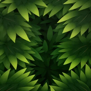 green leaves png