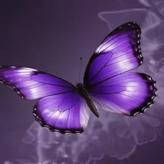 purple butterflies wallpaper
