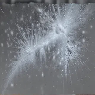 snowstorm png