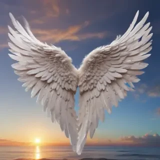 angel wing pictures