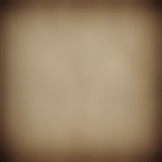 canvas texture overlay