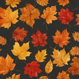 fall leaves png transparent