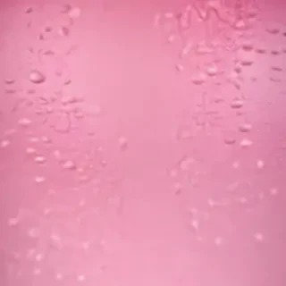 pink plain background