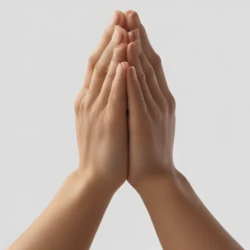 praying hands png transparent