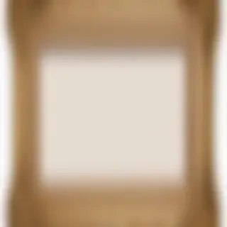 polaroid frames png