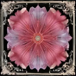 flower transparent border