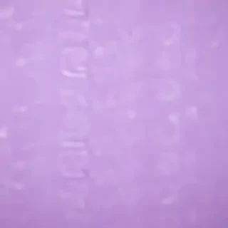 pastel purple background