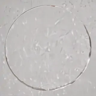 picture of circle