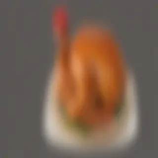 turkey png