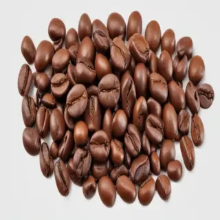 coffee bean png