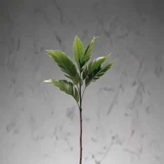 minimalist iphone wallpaper aesthetic