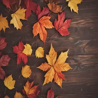 fall wallpaper for iphone