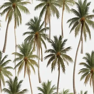 palm trees transparent