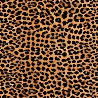 leopard print png