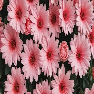 wallpaper aesthetic flowers
