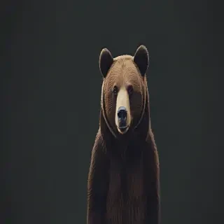 bear background
