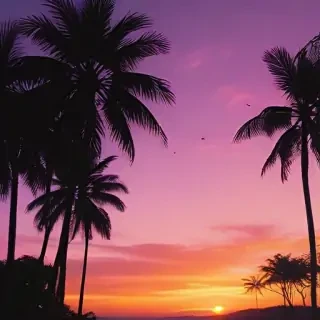 sunset aesthetic wallpaper