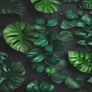 plant wallpaper iphone
