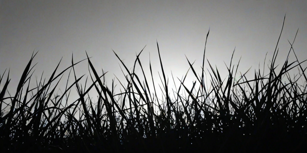 grass silhouette
