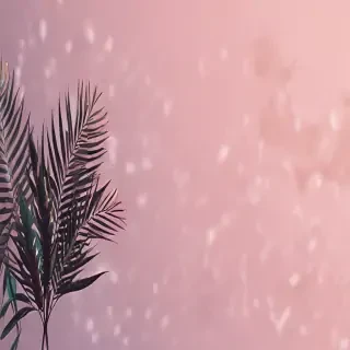 aesthetic simple backgrounds